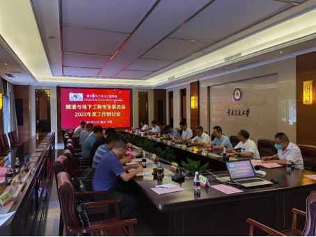 重庆岩石力学与工程学会隧道与地下工程专业委员会2023年度工作研讨会顺利召开